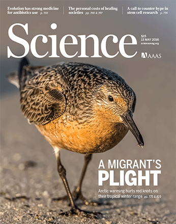 Science-cover-red-knot